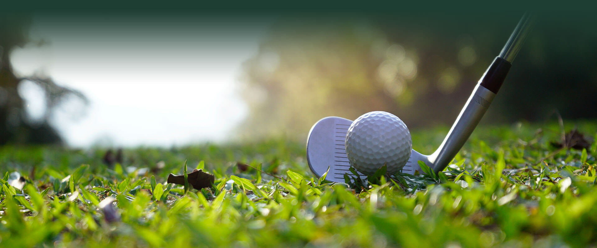 about-green-golf-tour